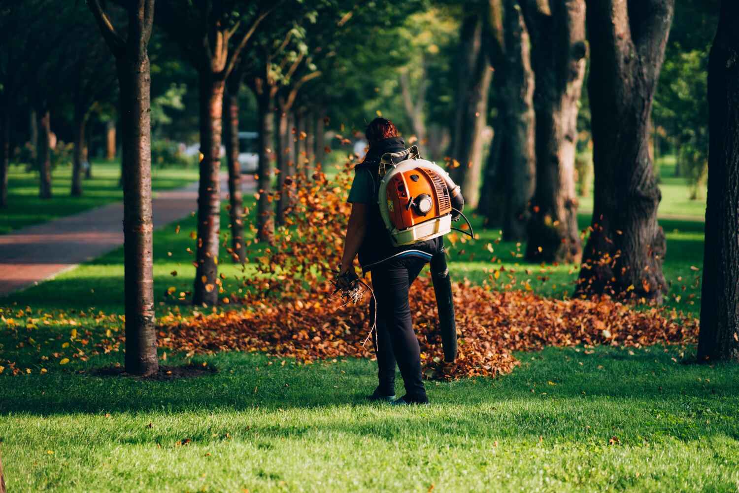 Best Tree Branch Trimming  in USA